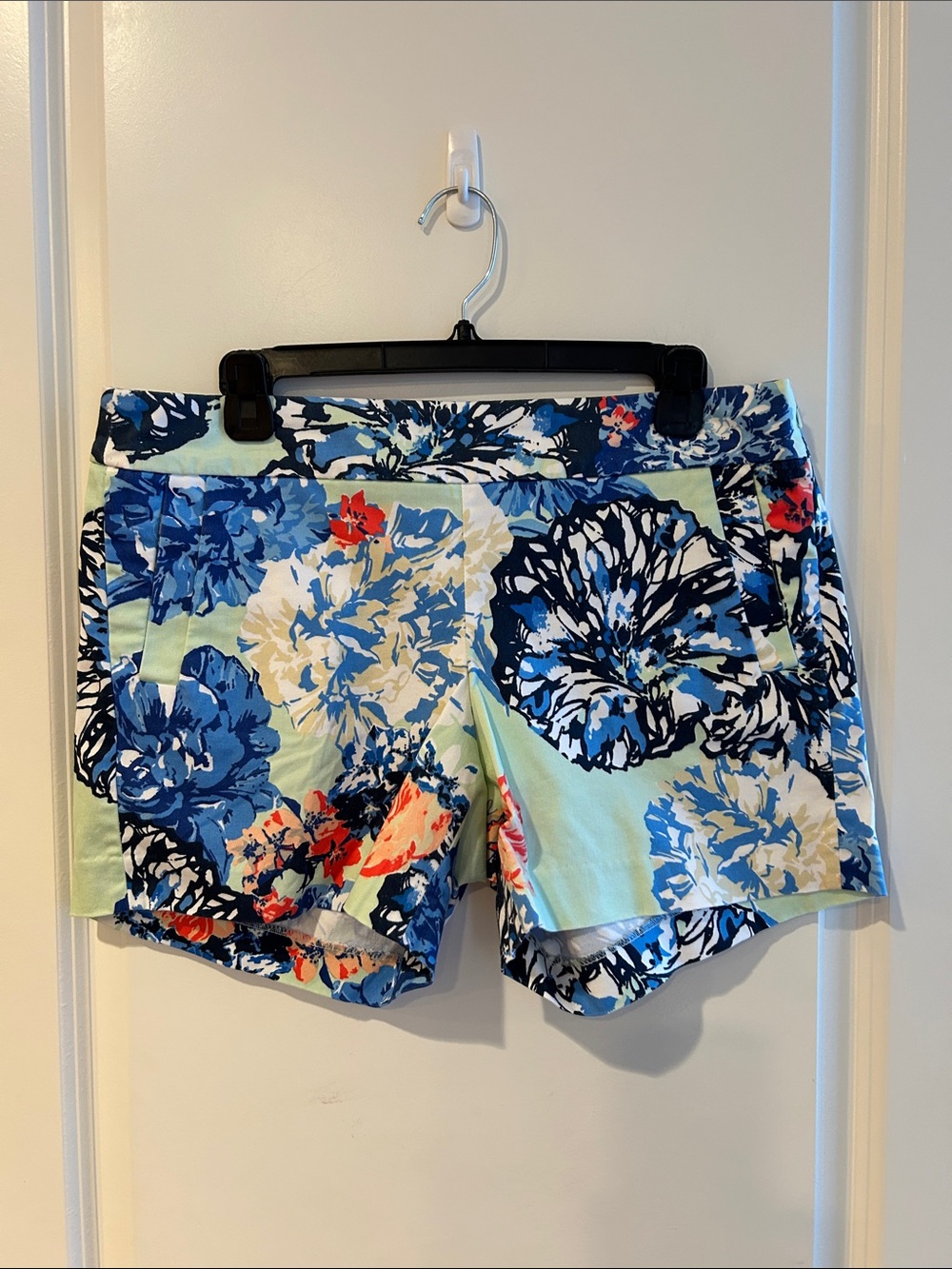 J Crew Shorts